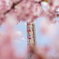春