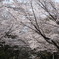 近くの公園で