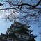 DSCN0111