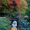 高野山紅葉2015