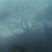 frosted glass