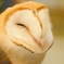 「眠いねえ…」