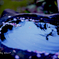水に浮かぶ桜の花びら＊