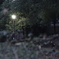 夜の公園