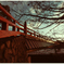 朝霧橋