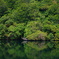 DCIM022.image