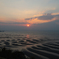 御輿来海岸5 16.3.14