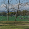 EPSN0140_1