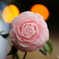 街の花