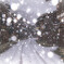 雪の宿