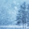 雪曜日…