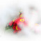 雪どけ