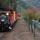 嵯峨野観光鉄道トロッコ列車