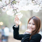 桜と私