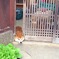 ひま〜(*_*)誰か遊んでー