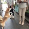 おねーちゃん♪それなーに？