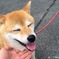 ヨシヨシ