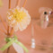 Aromatic-Rose 2016