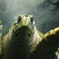 ウミガメ