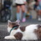 せまりくる
