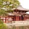 平等院、松とともに
