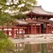 平等院、松とともに