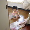 最後に・・・