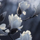 春時雨やみて