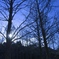 冬の夕暮れ