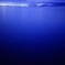 ＣＡＬＭ