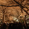 京都　白川