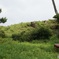 無人島にて
