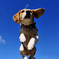 Jumping