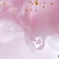 雨上がりの河津桜