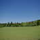 青空の奈良公園