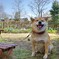 お庭にお花が咲きました♪