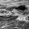 SPLASH