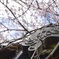 朽ちゆく運命