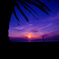 siroyaの夕日