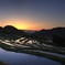 大山千枚田2015.5-1