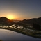 大山千枚田2015.5-2
