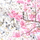 双桜
