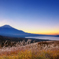 Japan Big Nature