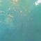 小さな海