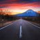 the long road into nature