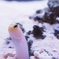 どうも〜