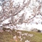 DSC02680