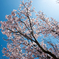 Spring has come!
