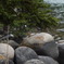 P1000436