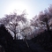 CIMG0575